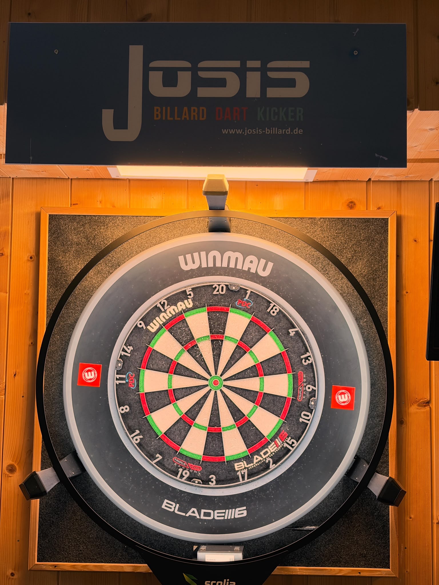 josis_scolia_02